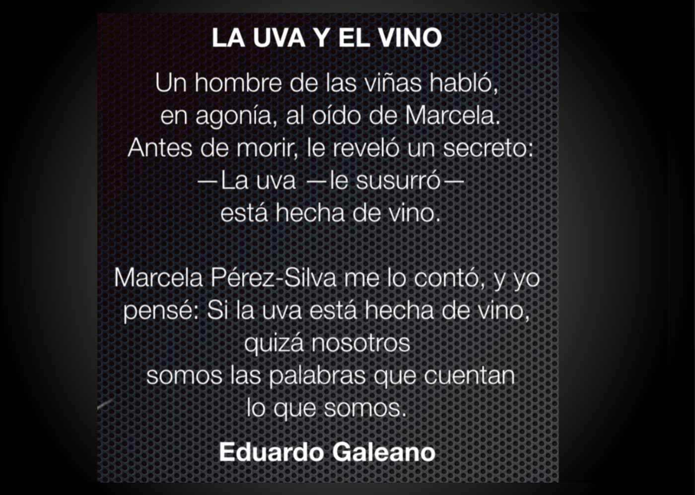 La uva y el vino